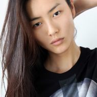 Liu Wen