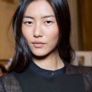 Liu Wen 2015