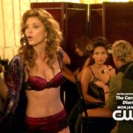 AnnaLynne McCord lingerie