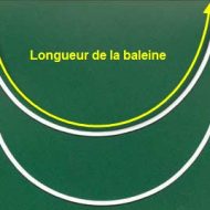 Baleine de soutien gorge