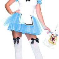 Costume princesse enchantee leg avenue bleu costumes teenagers