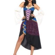 Costumes costume 4 pieces gypsy la diseuse de bonne aventure mauve leg avenue small