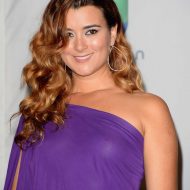 Cote de Pablo bikini