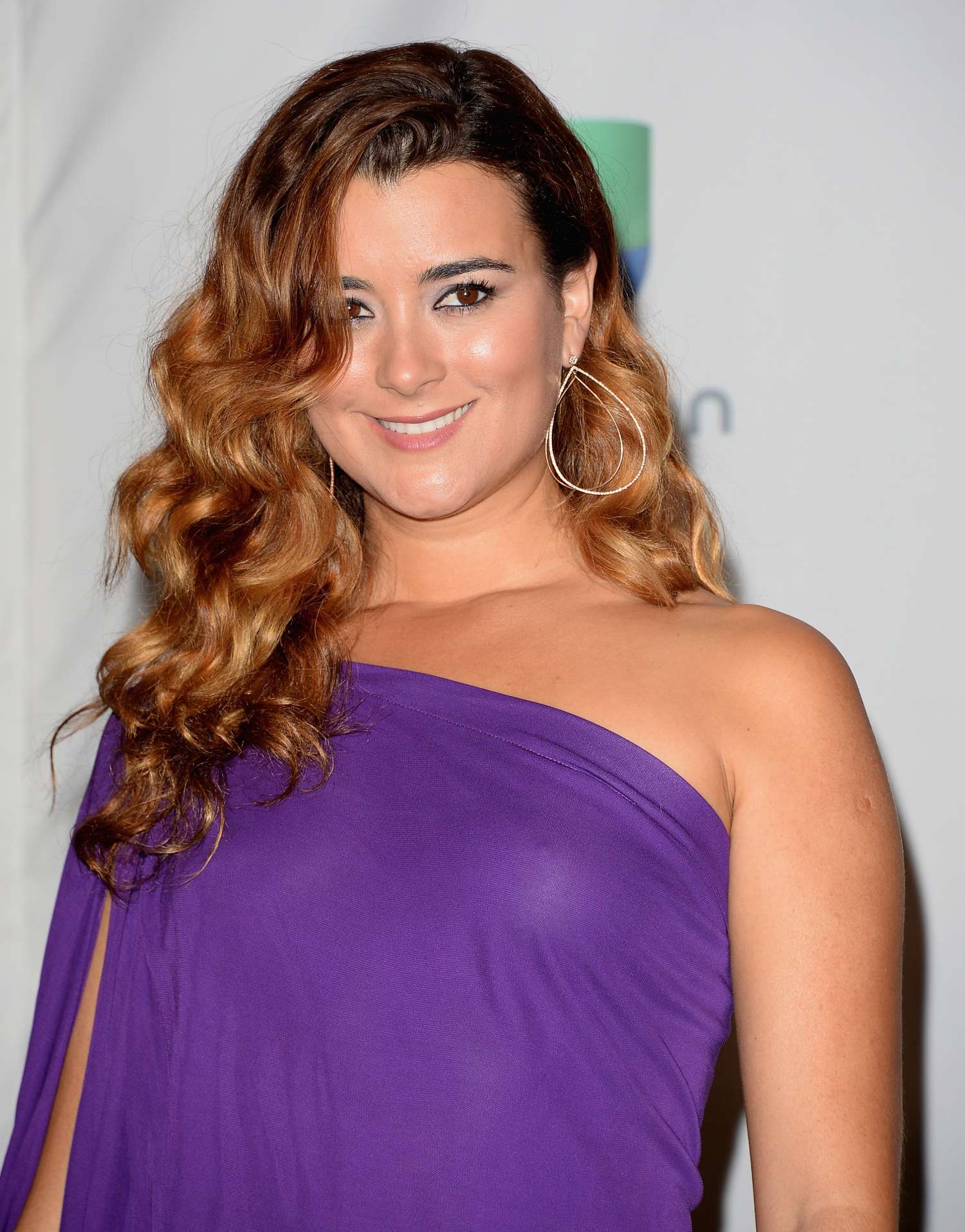 Cote de Pablo bikini