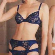 Geena Davis lingerie