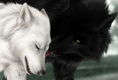 loup noir romantique