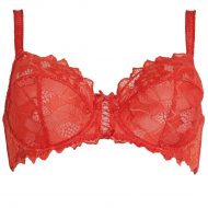 Rouge gorge soutien gorge