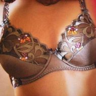 Soutien gorge 110 c