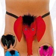 String homme elephant rouge